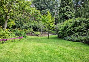 Optimiser l'expérience du jardin à Curcay-sur-Dive
